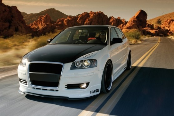 Spoilerlip Audi A3 8P ABS 06- Rieger