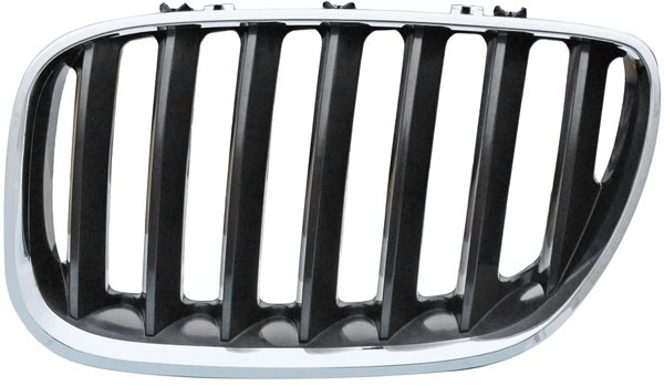 Grill Links BMW X8