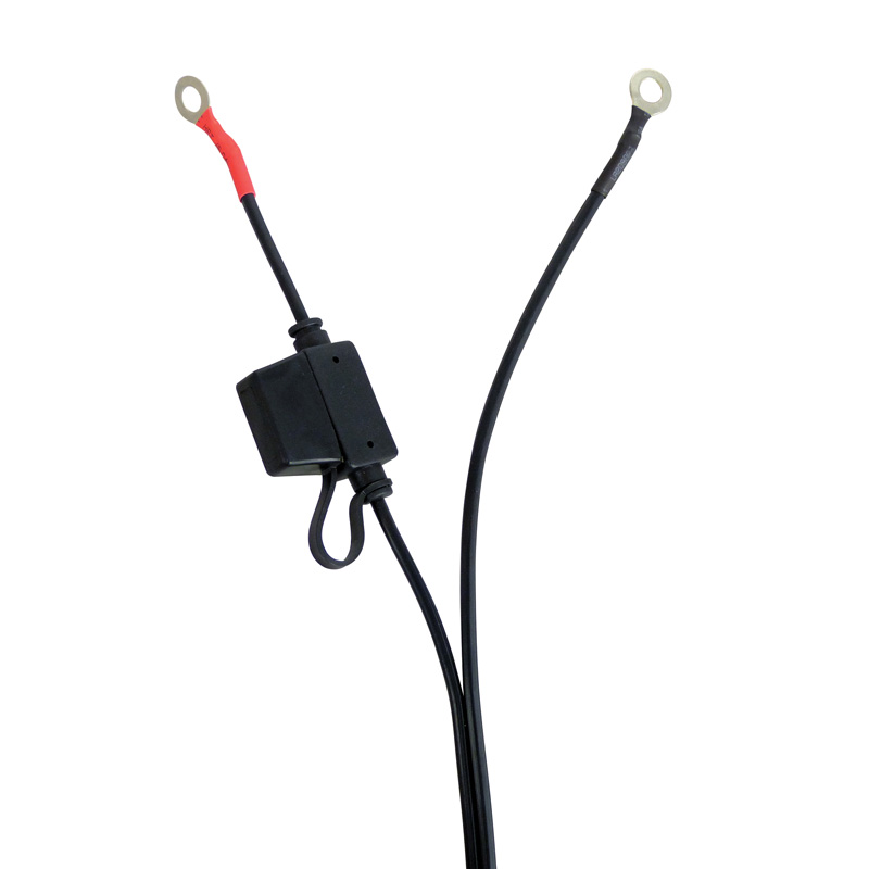 Carpoint Chargeur Batterie Automatique 12V