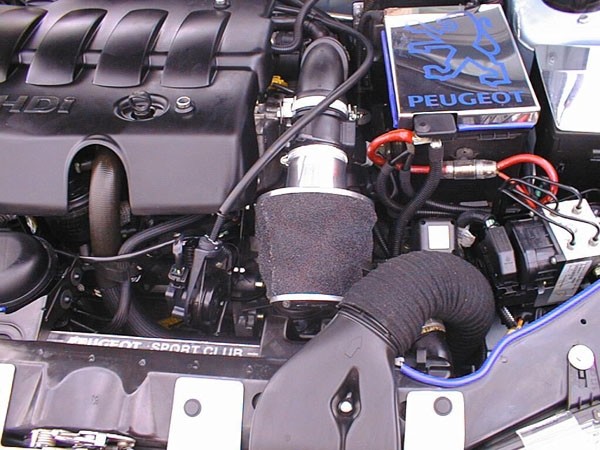 Pipercross Peugeot 306 2.0 HDi 10/99-Standard Luchtfilter