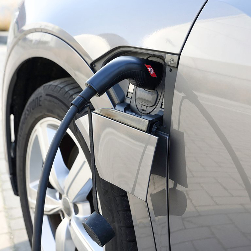Câble de charge Carpoint pour véhicule électrique Type 2>2 16 AMP monophasé 6 mètres