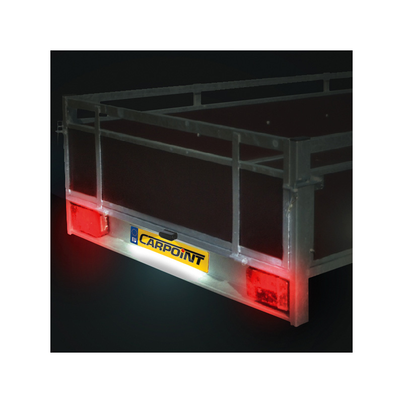 Carpoint Éclairage de Plaque d'Immatriculation LED