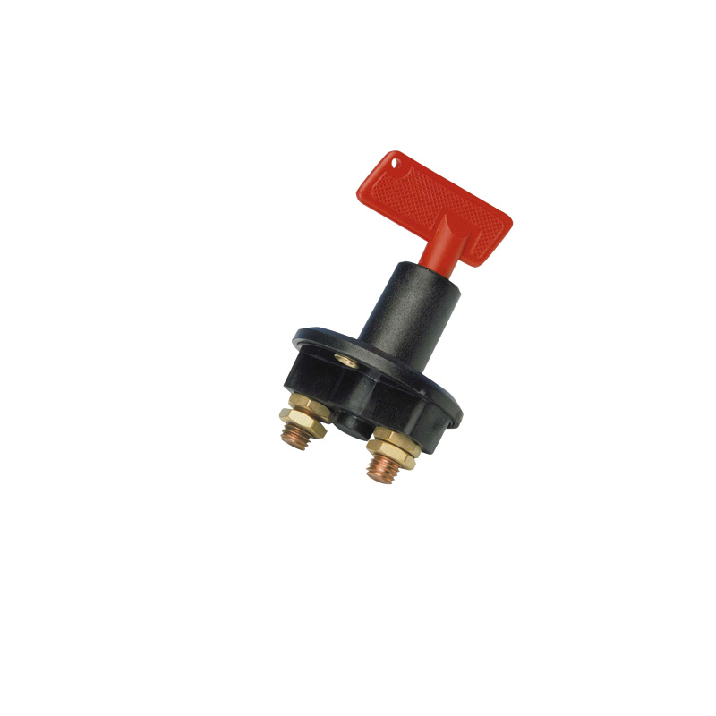 Interrupteur d'alimentation + 2 Clés - 12/24 Volt