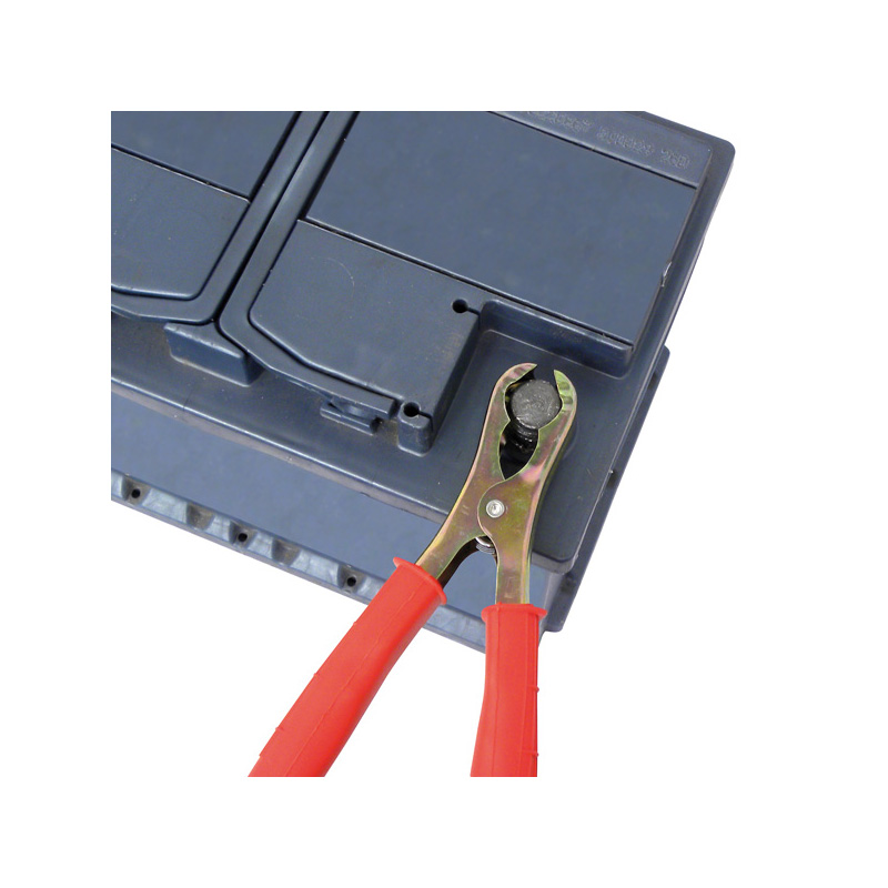 Carpoint Pinces Crocodiles pour Batteries 120A 16cm