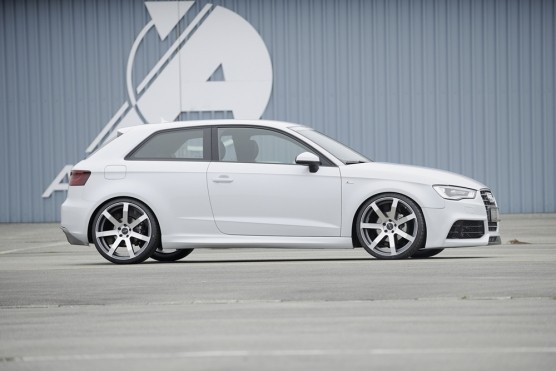 Rieger Zijskirts passend voor Audi A3 8V 2012-