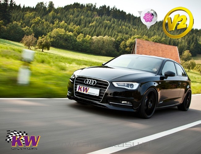 Schroefset KW V2 inox Opel Vectra (B) Vectra-B-CC (J96) 2.0 D 10