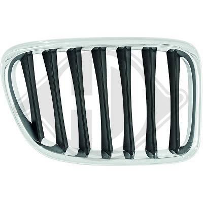Grill Links BMW E84