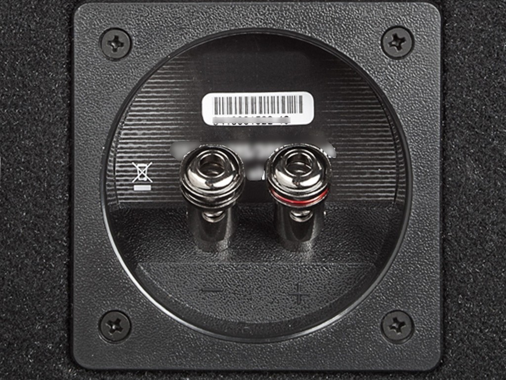 Rockford Fosgate Punch Subwoofer in kist P2-2X12