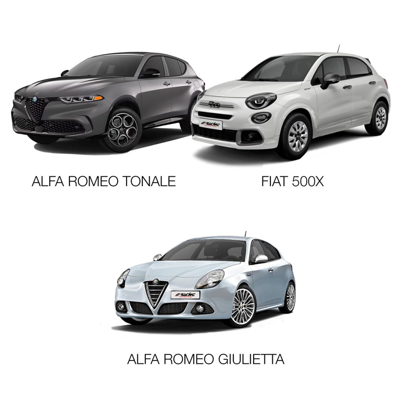 Simoni Racing Kit d'Élargisseurs de Roue en aluminium - 2x17,5mm(AV) - 2x20mm(AR) (Moyeu 65,1mm) avec boulons de roue - sur mesure pour Fiat, Alfa Romeo divers