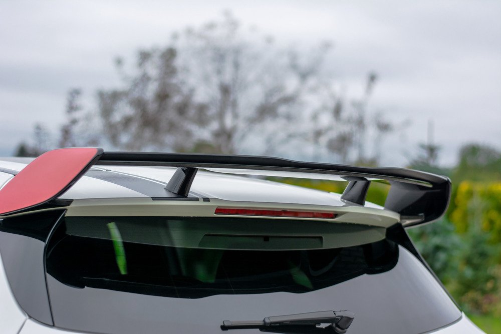 DACHSpoiler Mercedes W179