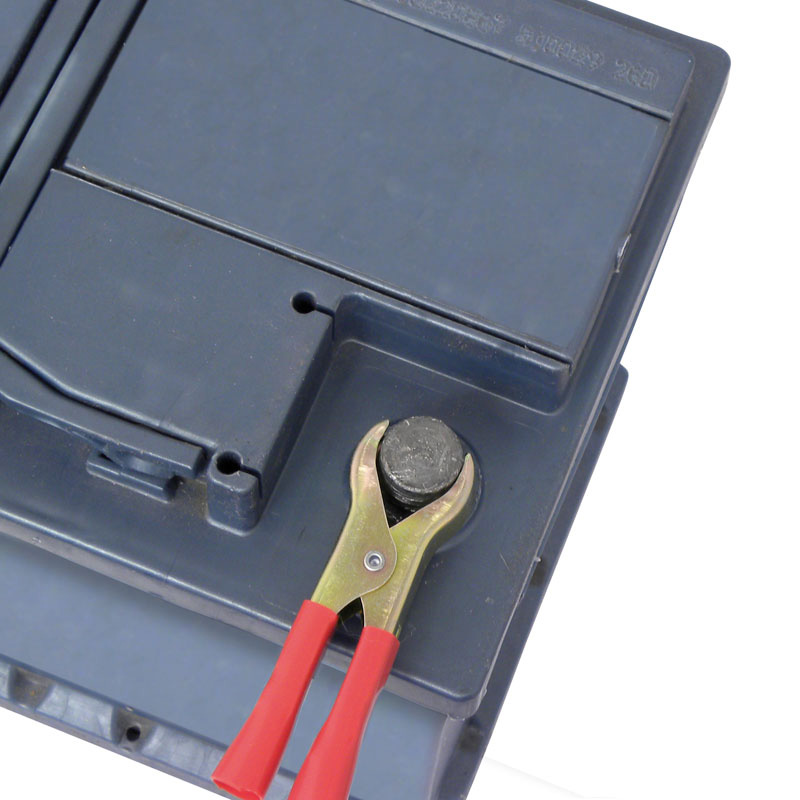 Carpoint Pinces Crocodiles pour Batteries 50A 8cm