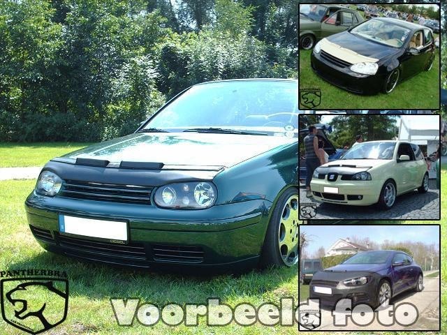 Steenslag/Auto Bra Renault scenic 2004-2008