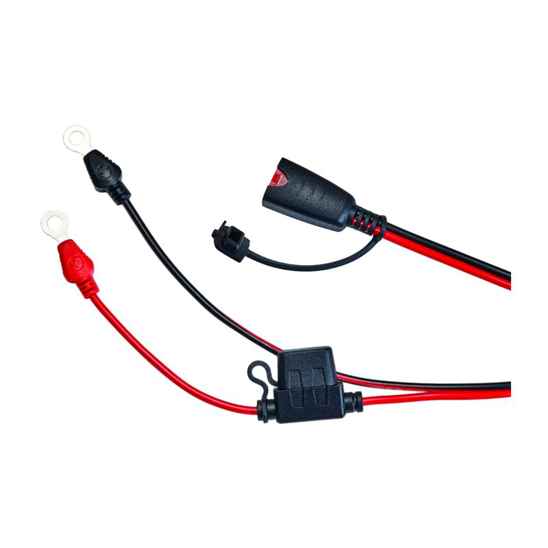Chargeur de batterie Carpoint BX-1D 12V 3.8 Ampère Lithium