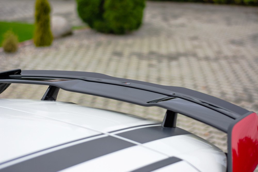 DACHSpoiler Mercedes W179