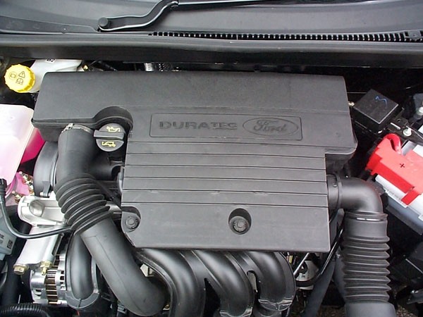 Pipercross Ford Fiesta Mk6 1.25 16v 05/02-Standard Luchtfilter