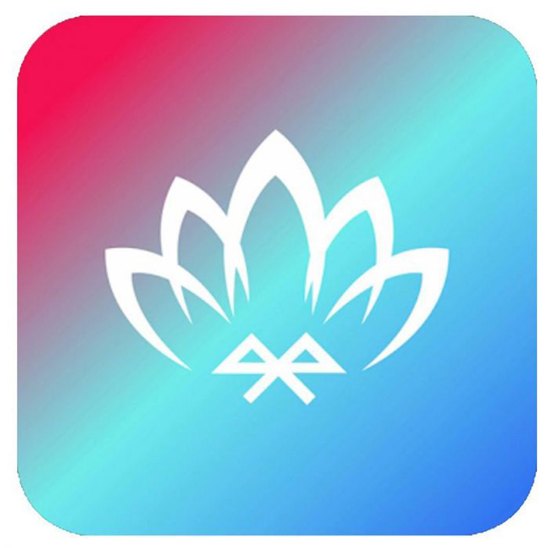Éclairage d'ambiance intérieur à LED multicolores 10 pièces avec contrôle par application et fibre optique de 8 mètres