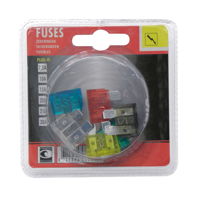 Carpoint Assortiment de Fusibles Enfichable 7.5-30A 6-pièces