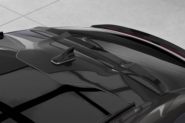 Achterspoiler | ABE Cupra Tavascan