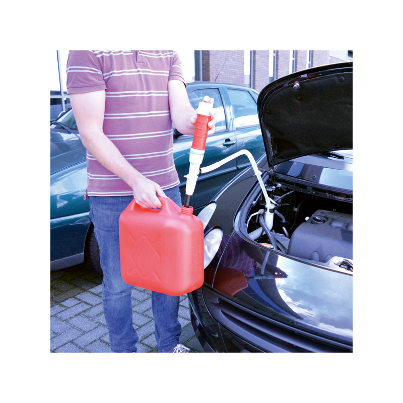 Carpoint Pompe à Siphon Electrique