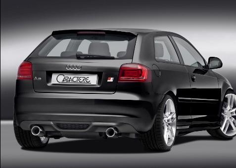 Audi A3 8P Dakspoiler Caractere